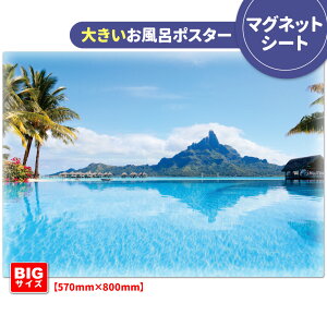 C|X^[ 傫ӂ|X^[y{{z}OlbgV[gyz֑zyLMtgbsOΉz