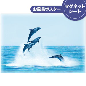 C|X^[ ӂ|X^[yCJz}OlbgV[gyz֌zyLMtgbsOΉz