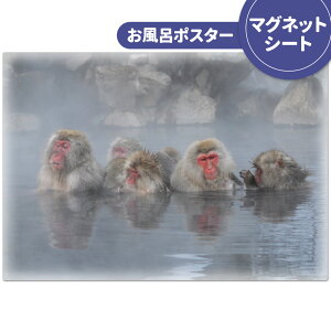 C|X^[ ӂ|X^[yɂ鉎z}OlbgV[gyz֌zyLMtgbsOΉz