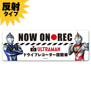 yԃXebJ[z˃}OlbgXebJ[ Eg}KCA Eg}AOyNOW ON RECzԃ}OlbgXebJ[ 䂤pPbgΉ210~`