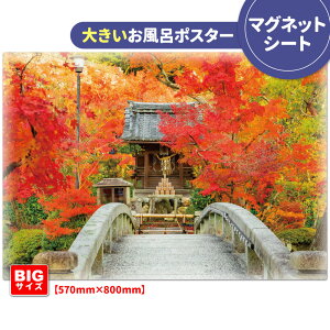 C|X^[ 傫ӂ|X^[ysz}OlbgV[gyz֑zyLMtgbsOΉz