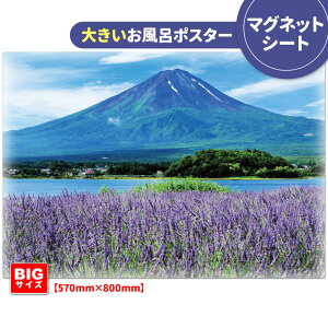 C|X^[ 傫ӂ|X^[yĂ̕xmRz}OlbgV[gyz֑zyLMtgbsOΉz