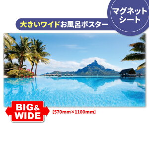 C|X^[ 傫Chӂ|X^[y{{z}OlbgV[gyz֌著zyLMtgbsOΉz