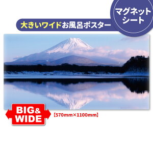 y}\|CgUPzC|X^[ 傫Chӂ|X^[yxmRz}OlbgV[gyz֑zyLMtgbsOΉz