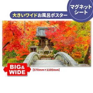 C|X^[ 傫Chӂ|X^[ysz}OlbgV[gyz֑zyLMtgbsOΉz