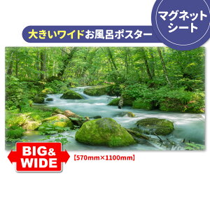 C|X^[ 傫Chӂ|X^[ykz}OlbgV[gyz֑zyLMtgbsOΉz