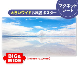 C|X^[ 傫Chӂ|X^[yEj΁z}OlbgV[gyz֑zyLMtgbsOΉz