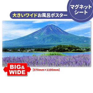 C|X^[ 傫Chӂ|X^[yĂ̕xmRz}OlbgV[gyz֑zyLMtgbsOΉz