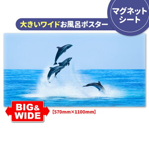 C|X^[ 傫Chӂ|X^[yCJz}OlbgV[gyz֑zyLMtgbsOΉz