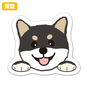 yX[p[SALEԒ20%OFFN[|pz^_CJbg}OlbgXebJ[y߂鍕āz p 䂤pPbgΉ210~`