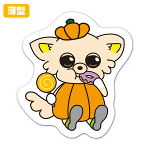 yX[p[SALEԒ20%OFFN[|pz^_CJbg}OlbgXebJ[y Sg nEBz p 䂤pPbgΉ210~`