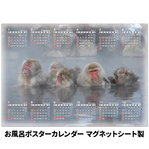 2026NC|X^[J_[yɂ鉎z}OlbgV[gyz֌zyLMtgbsOΉz