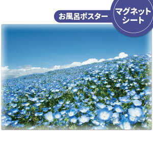 C|X^[ ӂ|X^[yЂClz}OlbgV[gyz֌zyLMtgbsOΉz