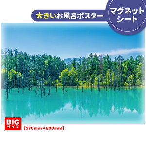 C|X^[ 傫ӂ|X^[yl̐rz}OlbgV[gyz֑zyLMtgbsOΉz