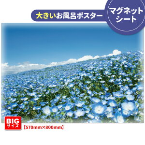 C|X^[ 傫ӂ|X^[yЂClz}OlbgV[gyz֑zyLMtgbsOΉz