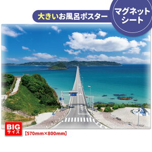 C|X^[ 傫ӂ|X^[yp勴z}OlbgV[gyz֑zyLMtgbsOΉz