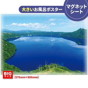 C|X^[ 傫ӂ|X^[y΁z}OlbgV[gyz֑zyLMtgbsOΉz