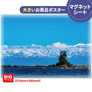 C|X^[ 傫ӂ|X^[yJC݁z}OlbgV[gyz֑zyLMtgbsOΉz