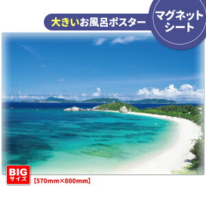 C|X^[ 傫ӂ|X^[ynÕ~z}OlbgV[gyz֑zyLMtgbsOΉz