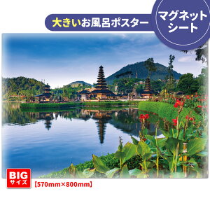 C|X^[ 傫ӂ|X^[yoz}OlbgV[gyz֑zyLMtgbsOΉz