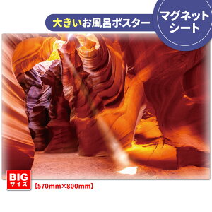 C|X^[ 傫ӂ|X^[yAe[vLjIz}OlbgV[gyz֑zyLMtgbsOΉz