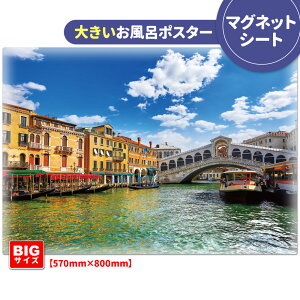 C|X^[ 傫ӂ|X^[yFlcBAz}OlbgV[gyz֑zyLMtgbsOΉz