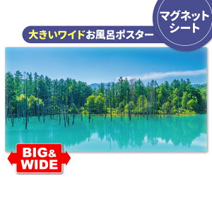 C|X^[ 傫Chӂ|X^[yl̐rz}OlbgV[gyz֑zyLMtgbsOΉz