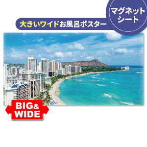 C|X^[ 傫Chӂ|X^[ynCz}OlbgV[gyz֑zyLMtgbsOΉz