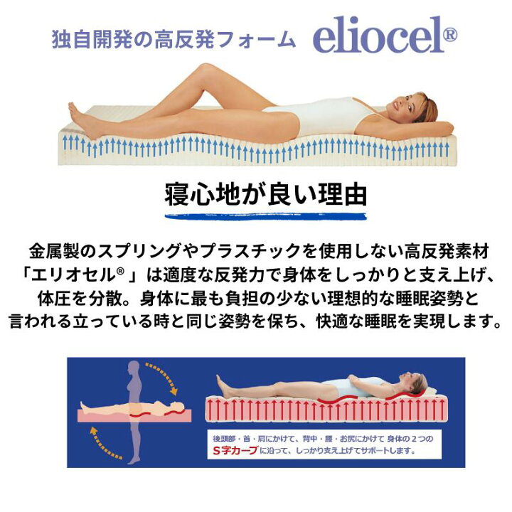 楽天市場】【送料無料】【長期12年保証】【正規販売店】【magniflex 