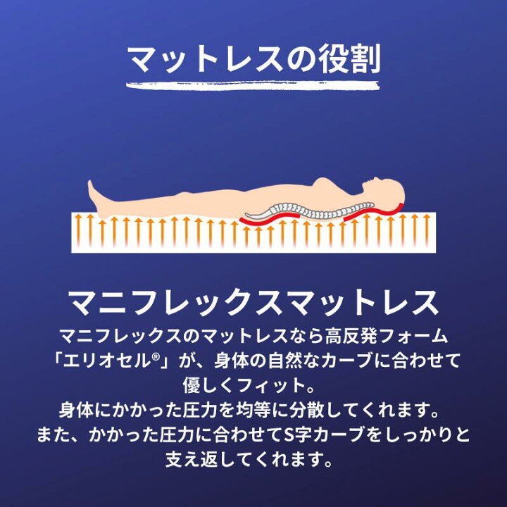 楽天市場】【☆3月中5％OFF☆】【☆ポイント2倍中☆】【送料無料 