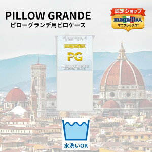 y14 10`|Cg2{zyzyK̔Xzymagniflexzy}jtbNXz s[Of psP[X  ܂ Jo[ PG