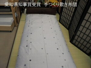 ꋉQZ\mɏ̕~ӂƂiyʃ^Cvj/VO Chȁ@4.0kg@K5386