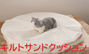 NbV Th Lg ݃J[ lۂ  킢  ThNbV zCg  x[W J uE F Ђ| G {A ӂӂ  g ~ u