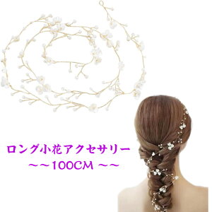 OwbhhX S[h Ԃƃp[ 100CM ԉ J`[V Ԋ  Ԃނ  wAANZT[ p[ CXg[ eBA Us 񂴂  wANbv 