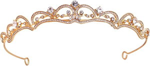 NE eBA uC_ Vo[ S[h LL ԉ wAANZT[  CXg[ ̔ a Ǝ ʐ^Be  l a v[