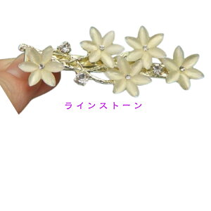 wANbv S[h wAs wANbv CXg[ p[@   wAANZ t[  LL l  l a ̓ w