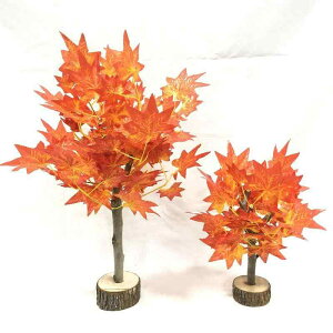  gt ~W JGf lHϗtA   u tFCNO[ u H nEB Ӎ NX}X CeA fR[V