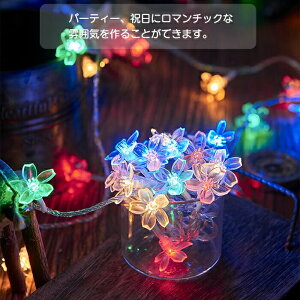 LEDC~l[V dr 6m/40led LED C~l[VCg  Ԍ^ ledCgXgO NX}X _/_   O dF Jt fR[V CeApi 