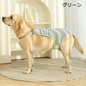 }i[pc  ނJo[ Tj^[pc ̎q pc }i[xg }[LOh~ hbOEFA  ^ ^ ^ p 앞 VjA  U  ʋC