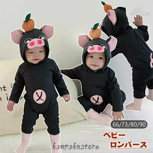 q p[X  u^ xr[ ̎q j̎q  Ԃ xr[ LbY Jo[I[ 킢 NX}X p[eB[ nEB  V oYj  RXv ߑ 66/73/