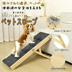  X[v ybgX[v  Ki ybgXebv ybg Xebv Ki pX[v  ^ 4̒߉\ ܂肽 萫 ^т[ȒP ybg֐ߒ LɍœK 