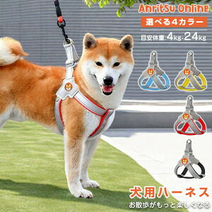 n[lX [ht ^ AE^[  [htpXP[X [ht  [htR[g [htn[lX p  ^ Ȃ EFAn[lX Č y  ȒP