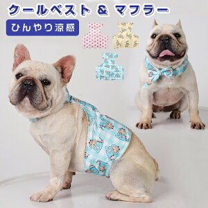 N[xXg N[EFA ybg ۗ pzbgJ[ybg p 2_Zbg N[oh N[lbN ۗܕt ߉ MǑ΍ Ђ pXJ[t N[o_i ̗₷ 