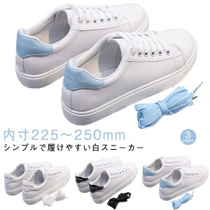 Xj[J[ [Jbg tbgV[Y ɂ Xj[J[ Xj[J[fB[X ₷ ₷ v tH ~  _炩 ʊw Mtg v[g ʋ tH[} 