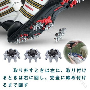 tV[YCe \tgXpCNe StV[Y XpCN S tV[Y \tgXpCN StV[YP[X StXpCN StXpCNe XpCNe Zbg pXpC