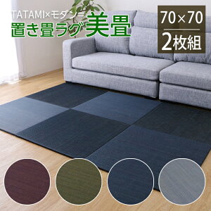 �u���� ���� ���O ���� 70×70 2���g �C�P�q�R ����~�� ���L ���_�� �������ȒP ���j�b�g�� ���n �O���[�� �O���[ �l�C�r�[ ���C��