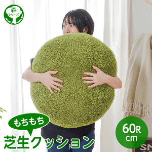  ӂ Ő NbV  ~` 60cm MTCY n 傫 傫 Lv I[V[Y N kCAAւ͕̔sƂȂ܂