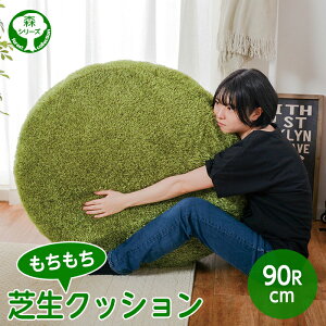  ӂ Ő NbV  ~` 90cm LTCY n 傫 傫 Lv I[V[Y N kCAAւ͕̔sƂȂ܂