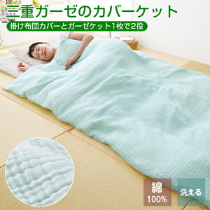 􂦂 K[[Pbg 3d VO 150×210 u[ K[[Jo[ n @OK t@Xi[t Jo[Pbg |zcJo[ キH  |zc Jo[