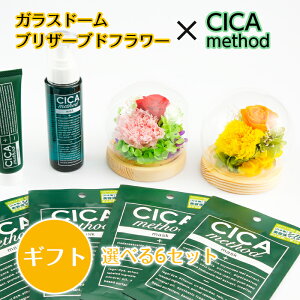  Mtg uU[uht[ + VJ CICA method ]bg et Iׂ N[ ~Xg tFCX}XN 4 RWbg { a   c FB   ސEj Əj 